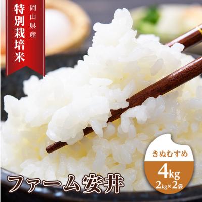 ふるさと納税 赤磐市 お米 【2025年11月〜発送予定】 特別栽培米 きぬむすめ 4kg[NO5765-1407]