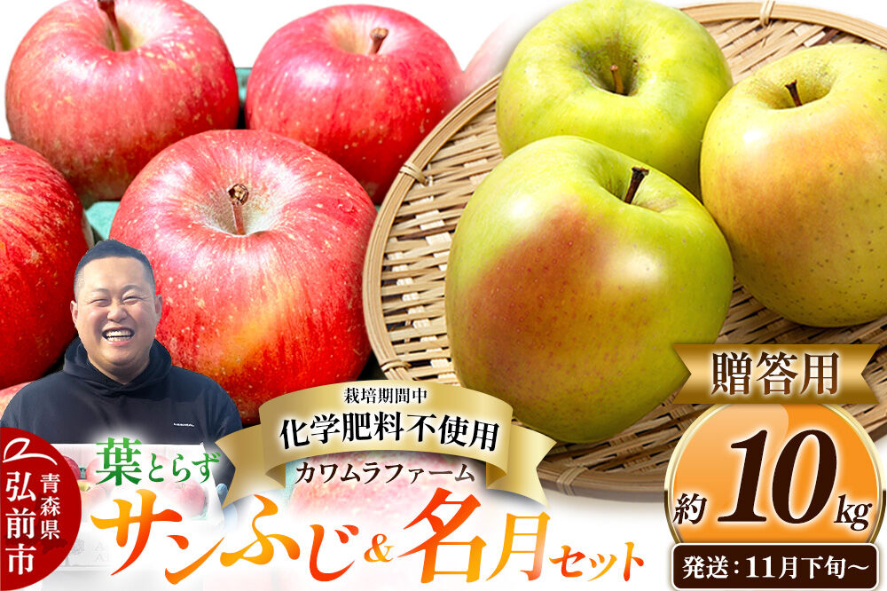 【26年11月下旬～発送】りんご 葉とらず サンふじ＆名月 セット【贈答用】約10kg【先行受付】カワムラファーム 青森県 弘前市 果物 フルーツ 林檎 リンゴ くだもの ギフト 贈り物 [先行予約 