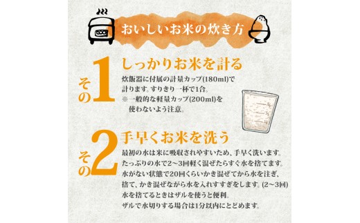 【令和8年産】 コシヒカリ10kg 白米 特別栽培米 (2kg×5袋) 白米 米 こしひかり こめ 大粒 ごはん おにぎり お弁当 農家直送 産地直送 ふるさと納税 姉﨑農園 新潟産 新潟県 新発田市