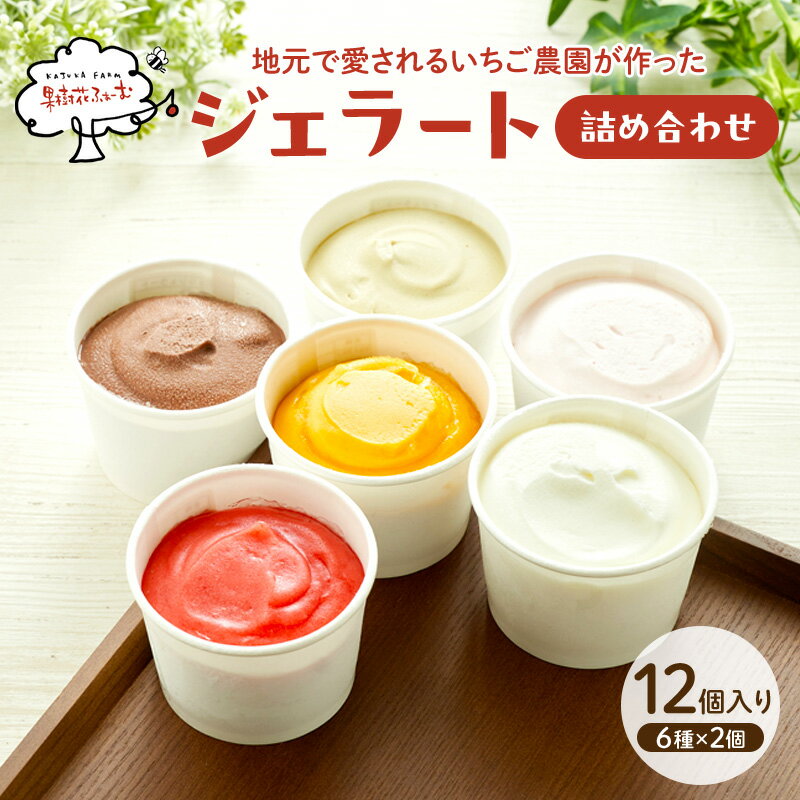 【ふるさと納税】ジェラート アイス 100ml×12個 12種 詰め合わせ アイスクリーム スイーツ お菓子 菓子 自社栽培 苺 リッチミルク ピスタチオ ミルクチョコレート マンゴー 苺ミルク おやつ 兵庫県加西市 ギフト 贈り物