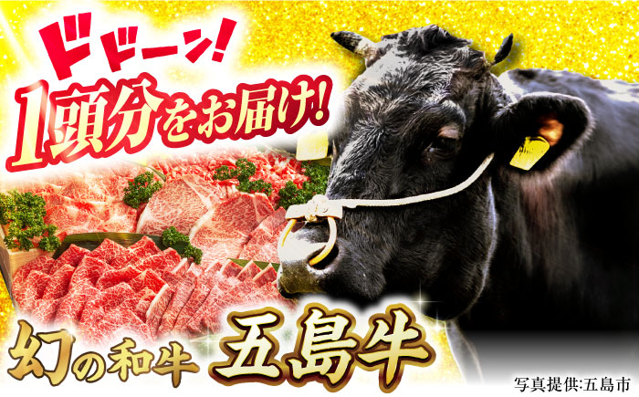 
            五島牛 一頭分 牛肉 国産 和牛 大容量 冷凍 ブランド牛 五島市 / ごとう農業協同組合 [PAF033]
          