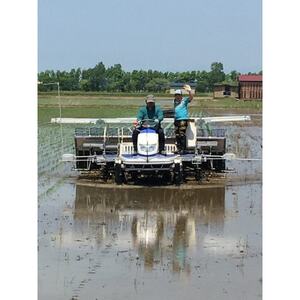 【令和7年産】特別栽培米あきたこまち2kgと特別栽培米サキホコレ2kgの白米食べ比べセット【配送不可地域：離島・沖縄県】【1671433】