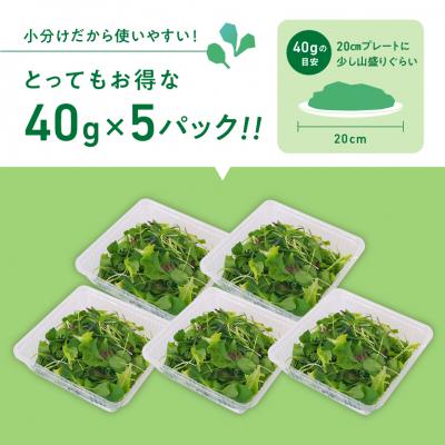 ふるさと納税 各務原市 葉が柔らかくて、味が濃い!!「岐阜県産」ミックスべビーリーフ【40g】×5セット【933】 |  | 01