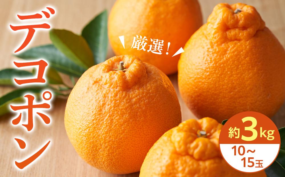 【2027年3月中旬より発送】厳選！濃厚甘味の「デコポン」約3kg
