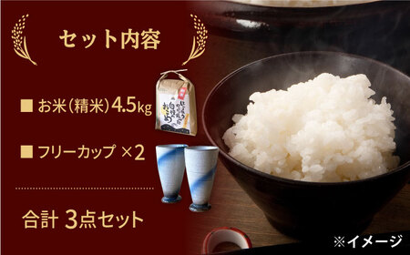 【令和5年産：精米】 特別栽培米 コシヒカリ （5kg） + 【美濃焼】 青雲かいらぎ フリーカップ 大 （2個） 【山松加藤松治郎商店】[TEU011]