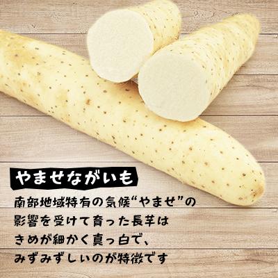 ふるさと納税 三沢市 青森県三沢市　さらさらふんわり【やませながいも冷凍とろろ】(80g×12個) |  | 01