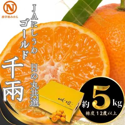 【先行受付】JAにしうわの季節の柑橘(日の丸共選「ゴールド千兩」約5kg)【F08-45】 YWTV016