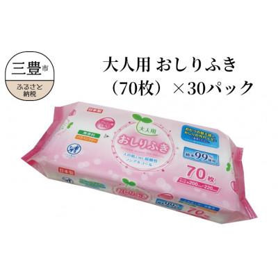 ふるさと納税 三豊市 大人用 おしりふき(70枚)×30パック　LD-213　