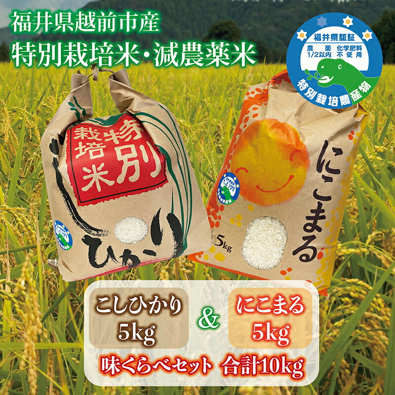 【ふるさと納税】　新米 コシヒカリ&にこまる「味くらべ」 令和7年度産 福井県越前市産 福井県特別栽培米 各5kg/ 送料無料 福井県 越前市 米 こしひかり 減農薬 2025年度産 新生活(18209)