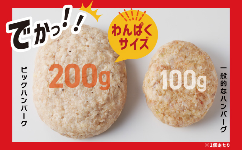 【定期便】黒毛和牛入り BIGハンバーグ（200g×12個）全6回 【毎月配送コース】