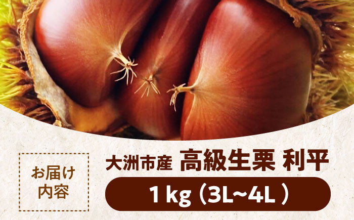 あじさい農園の高級生栗「利平」（1kg）