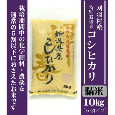 【ふるさと納税】【新潟特別栽培米】【精米】刈羽村産コシヒカリ 10kg(5kg×2袋)_ 新潟 刈羽村 コシヒカリ 精米 人気 美味しい お米 【1576343】