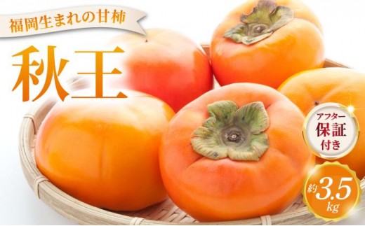
                   福岡より直送！種がほとんどない新ブランド柿 秋王 約3.5kg（2026年10月以降発送）|甘柿 太秋柿 富有柿 フルーツ くだもの 果物 送料無料 福岡県 那珂川市
                