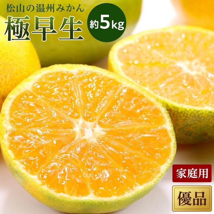 【ふるさと納税】 【2026年10月中旬頃から順次発送】 温州みかん「極早生」＜優品・家庭用＞ 約5kg | 国産 愛媛みかん 愛媛蜜柑 愛媛ミカン みかん ミカン mikan 蜜柑 柑橘 フルーツ 果物 くだもの お取り寄せ 数量限定 愛媛県 松山市 送料無料