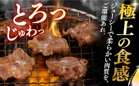 【12回定期便】【塩だれ味】九州産 豚タン 毎月250g×4パック （計12kg）長与町/岩永ホルモン[EAX169]