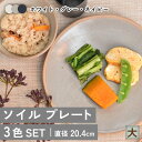 【ふるさと納税】【美濃焼】ソイル プレート（大）3色セット【金正陶器】皿 大皿 食器≪土岐市≫ [MAK032]