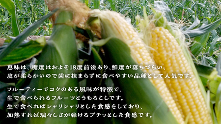 【 2025年 7月 発送開始 】 《3か月定期便》旬の野菜3種 419キャベツ 恵味トウモロコシ じゃがいも きゃべつ 嬬恋村産キャベツ 羽生田売店 幻のキャベツ419 産地直送 期間限定 先行予約