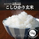 【ふるさと納税】木島平産 有機JAS コシヒカリ 玄米 約5kg（山嵜智之さん） | 米 玄米 コシヒカリ こしひかり お米 おこめ 有機JAS 長野県 木島平村 信州