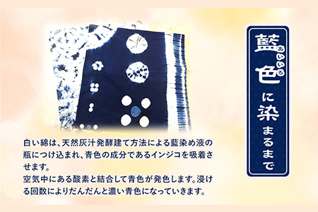 藍染体験 一般社団法人ジャパンブルー上板 《30日以内順次出荷(土日祝除く)》