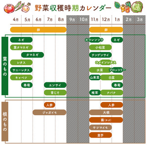11月発送　栽培期間中農薬・化学肥料不使用で栽培した野菜（7～10種類）と 平飼有精卵のセット mi0036-0017-11
