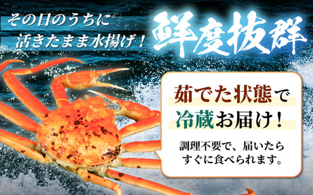 【先行予約】【訳あり】 茹で「越前ズワイ蟹」 中 1杯 脚折れ 【2024年12月発送分】【わけあり ワケアリ カニ かに 蟹 越前ガニ 越前蟹 ずわいがに ズワイガニ ズワイ ボイルガニ 姿 ボイル