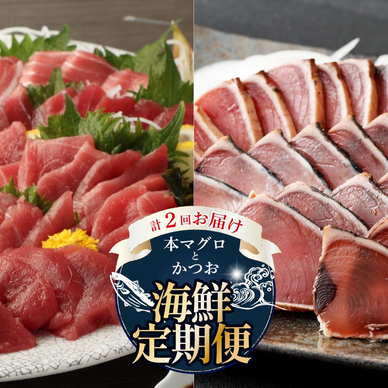 【 全2回定期便 】本マグロ と カツオ の 定期便 海鮮 鮪 鰹 定期 セット まぐろ カツオのたたき ネギトロ 中トロ 刺身 海鮮 鰹 冷凍 魚 海産物 魚介類 高知県 まぐろたたき 鮪 藁焼き 