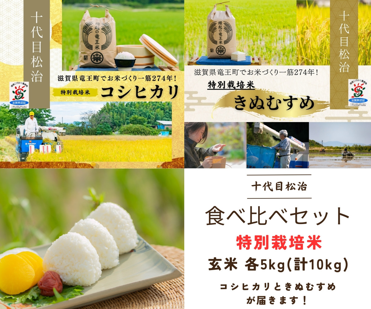 
【新米予約】 コシヒカリ きぬむすめ 食べ比べ 玄米 各5kg 計10kg ( 令和6年産 先行予約 新米 玄米 5kg 10kg 2品種 お米 おこめ ごはん 米 特別栽培米 ブランド米 ライス こだわり米 ギフト 国産 縁起の竜王米 滋賀県竜王町 )
