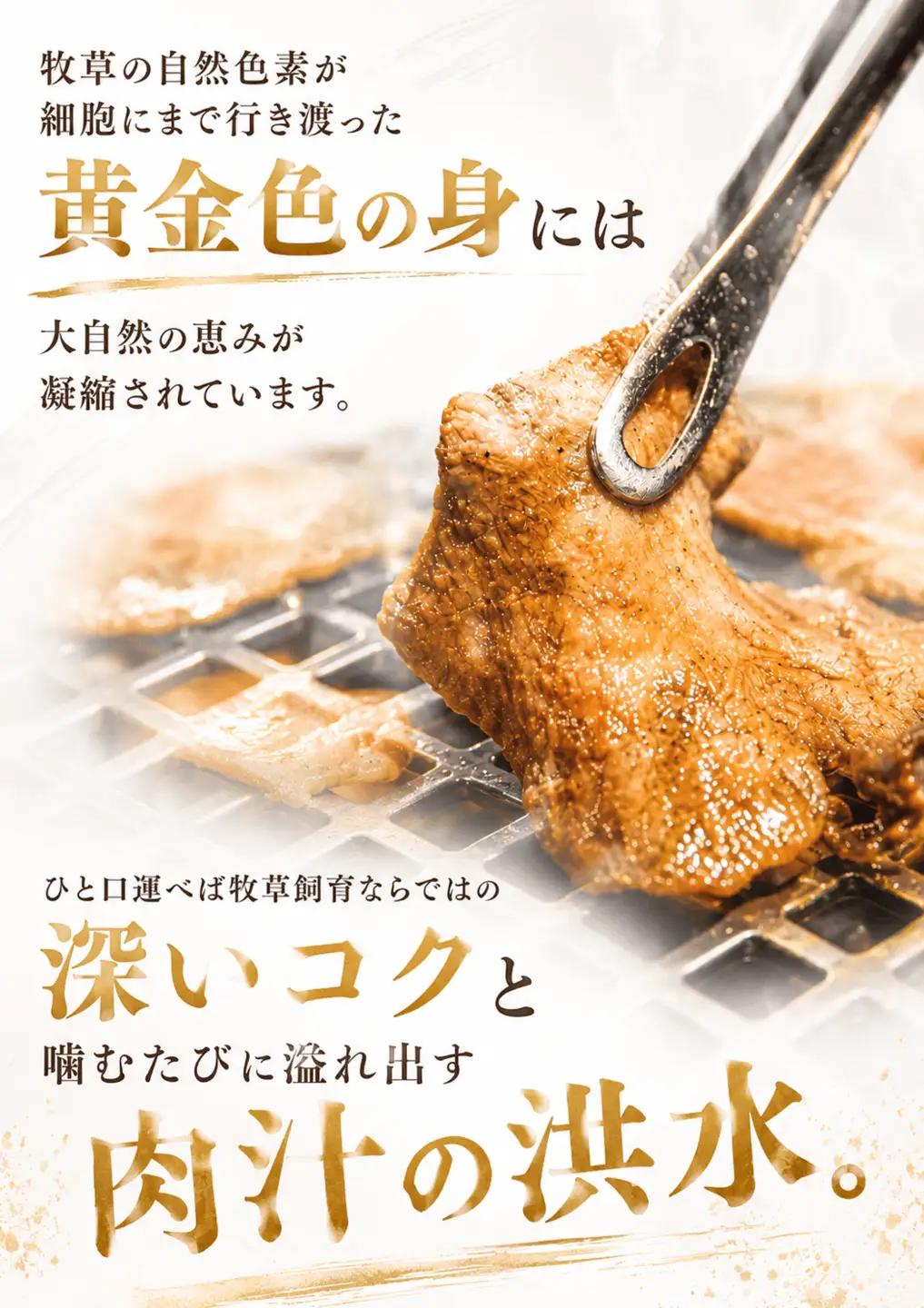 黄金牛たん塩味 / 牛タン 焼肉 たん 牛 タン BBQ【tontaro007】