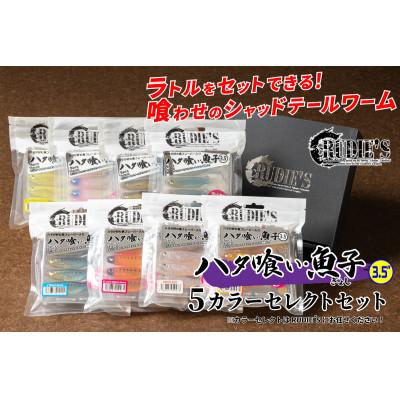 ふるさと納税 飯塚市 RUDIE‘Sのハタ喰い・魚子　3.5inch　5カラーセレクトセット　釣り具 ルアー
