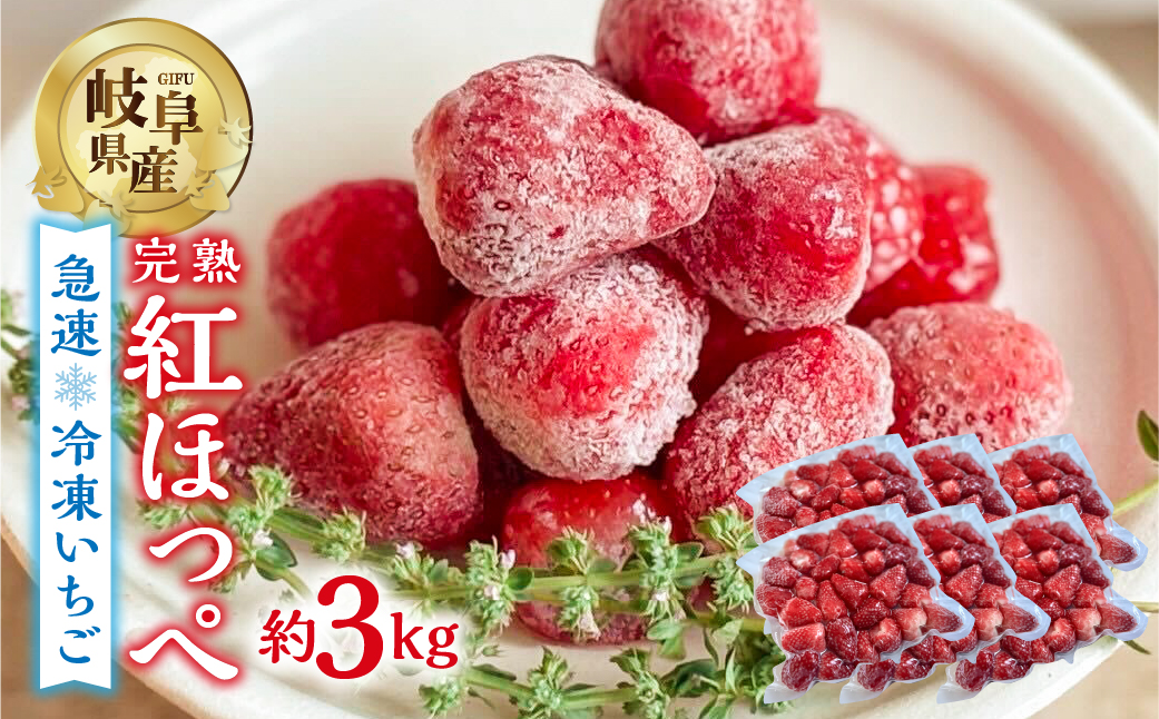 【2026年5月より発送】《 訳あり 》 冷凍いちご 紅ほっぺ 3kg (500g × 6p) 簡易梱包 サイズ 不揃い のため 訳あり 訳アリ フルーツ 果物 苺 いちご イチゴ アイス ヨーグルト 苺 family農園 子ども 小分け 家庭用 国産 産地直送 岐阜県 本巣市 2万 20000円 [mt1506]