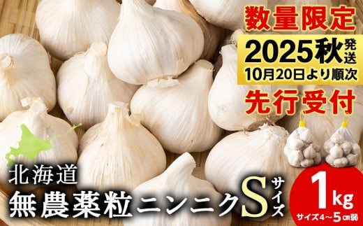 【数量限定】無農薬ニンニク“Sサイズ”1kg（500g×2袋）バラ 粒 無農薬 にんにくガーリック