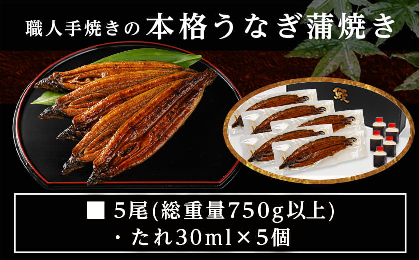【丑の日】職人手焼きの本格うなぎ蒲焼き5尾≪7月20日～25日お届け≫_32-33-003-5-UG