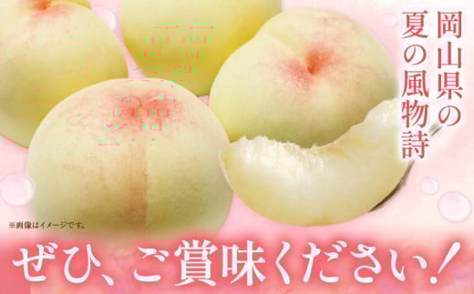 【2026年発送先行予約】ご家庭用　おかやまの桃　約1.8kg《2026年7月上旬-8月下旬頃出荷》