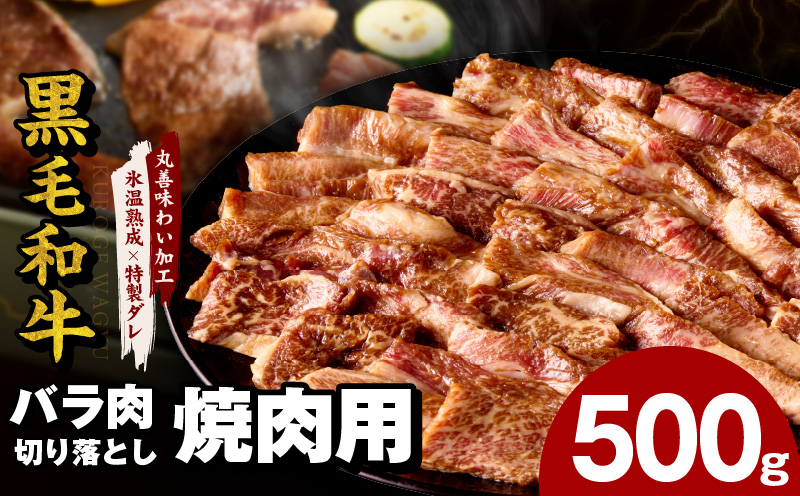 【スピード発送】黒毛和牛 バラ 焼肉用 500g【切り落とし 小分け 氷温熟成×特製ダレ 味付け 焼くだけ 簡単調理 BBQ 牛肉 大阪 泉佐野 大阪府 泉佐野市】