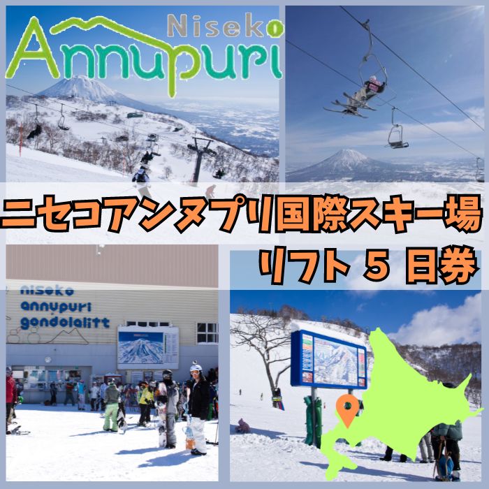 【ふるさと納税】【2025-2026シーズン早期受付】ニセコアンヌプリ国際スキー場リフト券 5日券　【1600702】