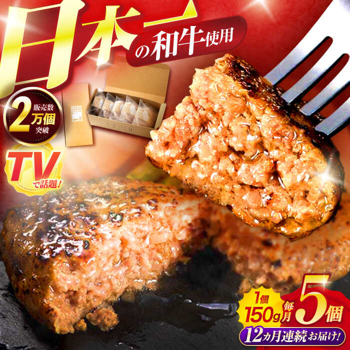 【ふるさと納税】【12回定期便】ながさきふわとろハンバーグ 150g×5個入 / ハンバーグ はんばーぐ 肉 牛肉 豚肉 おかず 惣菜 定期便 / 諫早市 / ワールド・ミート有限会社[AHBG008]
