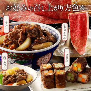 2419R_【贈答用】A4～A5等級おおいた和牛ウデ肉スライス400g（1パック）