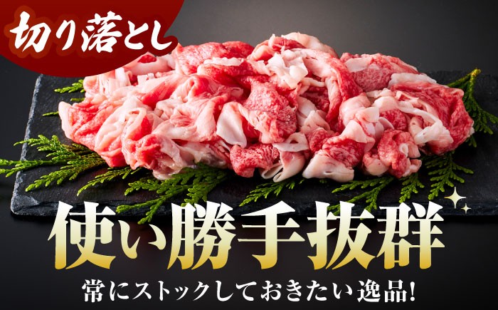 佐賀牛切り落とし 1kg（500ｇ×2パック）切落とし 切り落し 牛肉 和牛 黒毛和牛 小分け 冷凍 きりおとし 佐賀 佐賀県