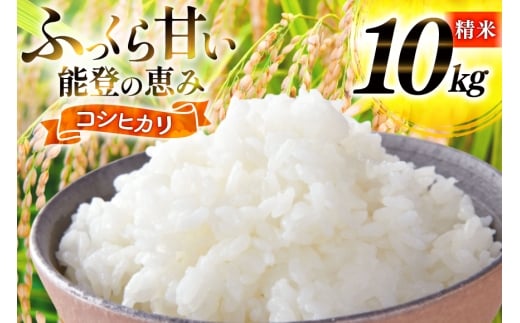 米 令和7年産 コシヒカリ 精米 10kg [能登ファーム志賀 石川県 志賀町 CH4010] コメ こめ ご飯 ごはん 白米 令和7年 こしひかり お米 精米 能登 10キロ