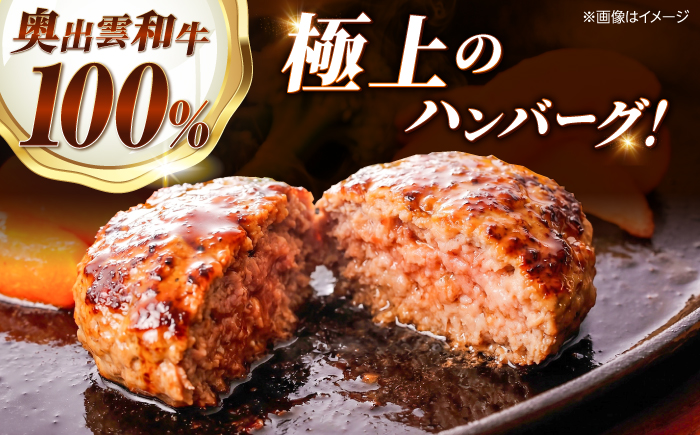 ＜幻の黒毛和牛＞ふるさと納税限定 奥出雲和牛ハンバーグ 5個（1個あたり150g）牛肉 島根和牛 ハンバーグ 島根県雲南市/株式会社ミーツ [AIEQ002]