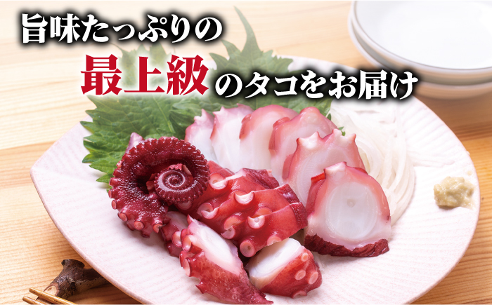 【旨味た～っぷりの最上級タコ】 五島 浜茹で 真タコ 冷凍 500g【カミティバリュー】 [RBP017]