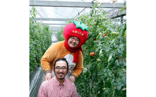 訳あり 赤いミニトマトの宝石箱 約2キロ 約2kg トマト とまと ミックス 野菜 料理 サラダ マリネ パスタ 浅漬け おやつ 弁当 甘味 酸味 新鮮 訳アリ 家庭用 ご自宅用