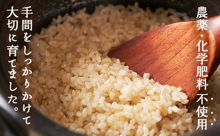 ＜令和7年産 西予市産 特別栽培米 エコえひめ コシヒカリ 玄米 約3kg＞国産 農薬・化学肥料不使用 一等米 3キロ 愛媛県産 こしひかり お米 米 コメ げんまい 産地直送 送料無料 シゲちゃん農