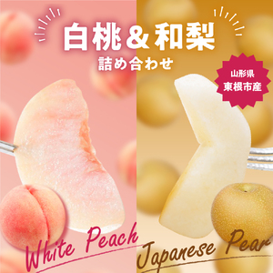 2024年 東根市産 白桃【品種おまかせ】秀品＆和梨詰め合わせ3kg　hi027-111（先行予約 令和6年産 山形県 東根市 果物 フルーツ 桃 白桃 梨 和梨 詰め合わせ ふるさと納税 3kg 秀