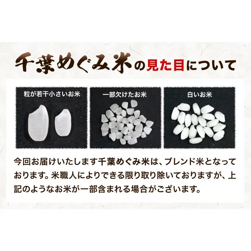 米 千葉めぐみ米 10kg 千葉県産