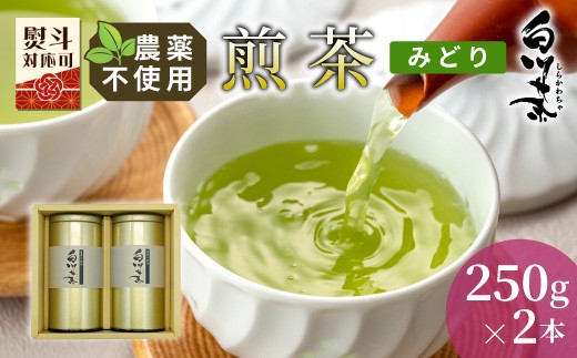 農薬不使用！煎茶 ギフト NO.4 (みどり250g×2 計500g)  常磐園 ずいうん 日本茶 緑茶 煎茶 茶葉 お茶 一番茶 白川茶 美濃白川茶 農薬不使用栽培茶 春摘み 大容量 岐阜県 東白川村 お取り寄せ 贈答用 プレゼント ギフトセット
