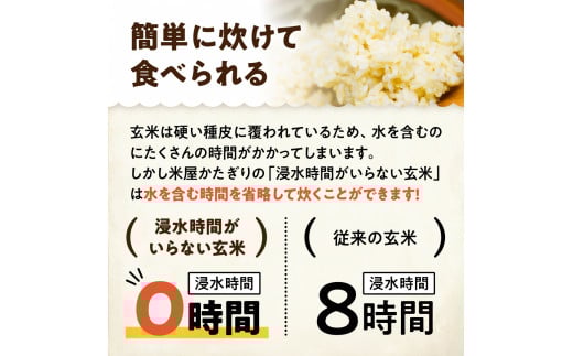 【令和7年産】「米屋のこだわり阿賀野市産」浸水時間がいらない玄米２kg 1E11010