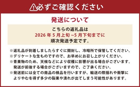 熊本県産 小玉すいか 1玉 1.5kg以上 【2026年5月上旬発送開始】 すいか スイカ 西瓜 くだもの 果物 フルーツ 国産