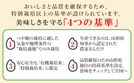 【令和8年10月12日～18日発送】【令和8年産 新米】 工藤さんの特別栽培米 つや姫 無洗米 5kg（5kg×1袋） 山形県鶴岡市産 株式会社サンエイファーム　| 米 つや姫 5kg 特別栽培米 無