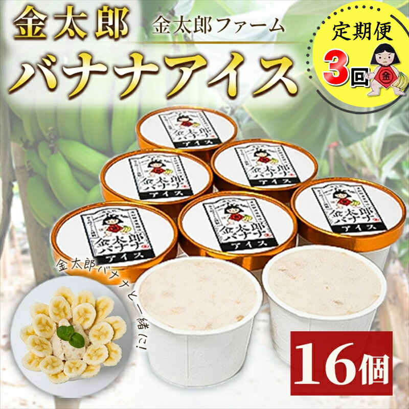 【ふるさと納税】定期便：金太郎バナナアイス（48個）：16個×3回（毎月お届け） 栽培期間中農薬不使用 【国産 ギフト プレゼント 贈り物 お返し おいしい 果物 くだもの フルーツ お歳暮 お中元 】